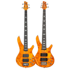 Bullfighter 5 string Bass Guitar