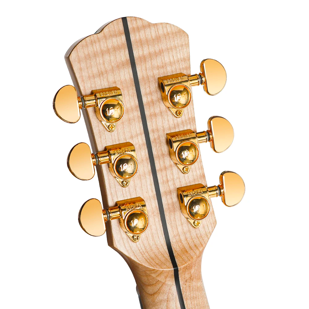 Acoustic Guitar D-10