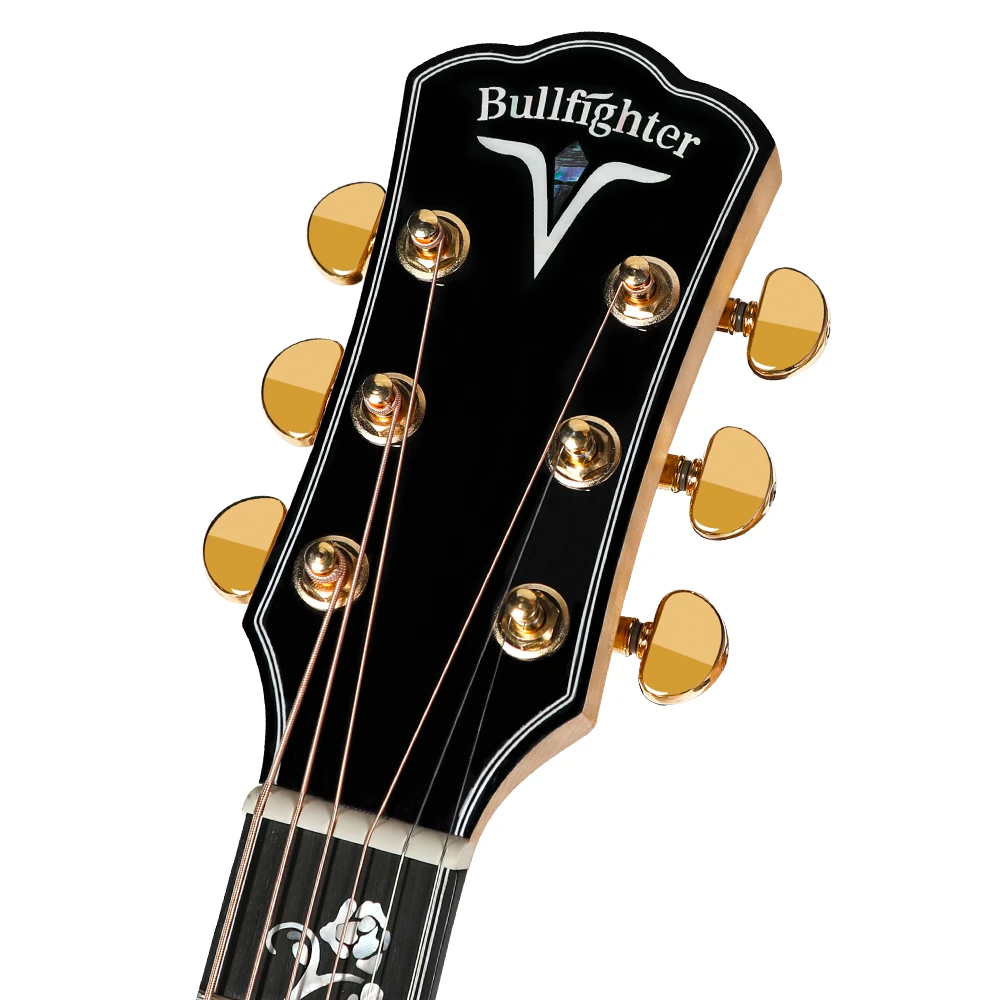 Acoustic Guitar D-10