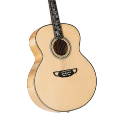 Acoustic Guitar D-10