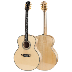 Acoustic Guitar D-10