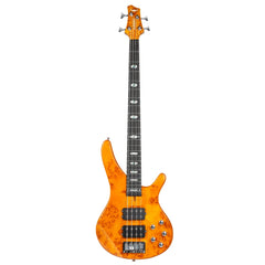 Bullfighter 5 string Bass Guitar