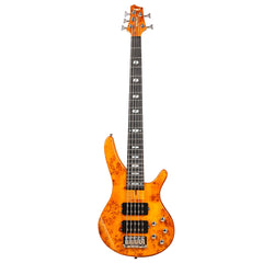 Bullfighter 5 string Bass Guitar