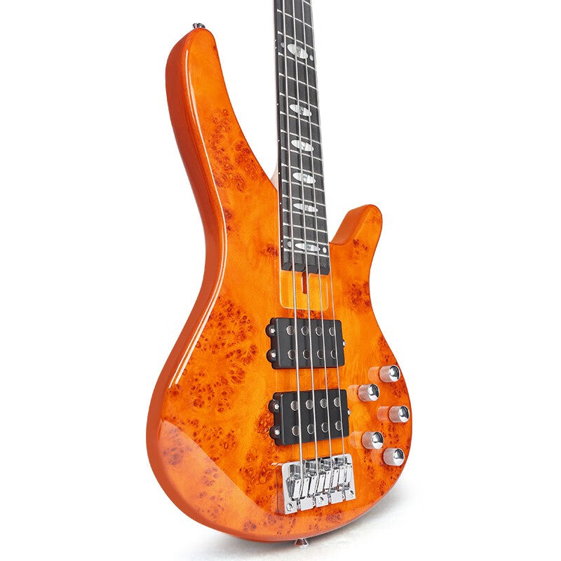 Bullfighter 5 string Bass Guitar