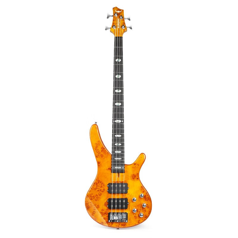 Bullfighter 5 string Bass Guitar